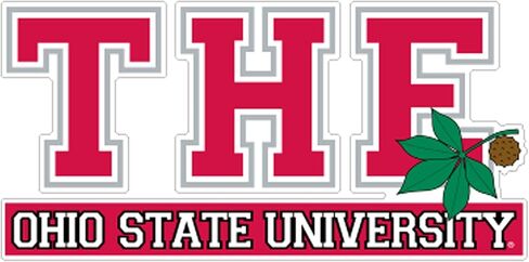 Craftique Ohio State University Decals (The Ohio ST UN (4 in, 6 in), 4 in) in Saudi Arabia