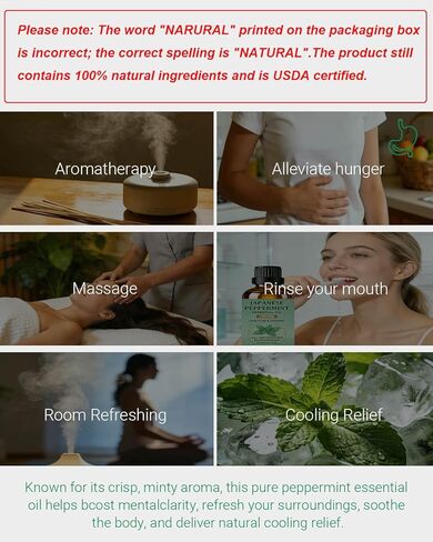100% Pure Organic Japanese Peppermint Essential Oil, USDA Natural Food & Therapeutic Grade for Aromatherapy, Skin Hair Scalp Care, Massage - Can Diffusers, Home Cleaner, Relaxtion, Aid Mood - 100ml in Saudi Arabia