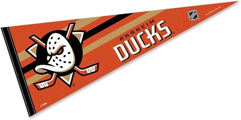 WinCraft Ducks Pennant Flag in Saudi Arabia