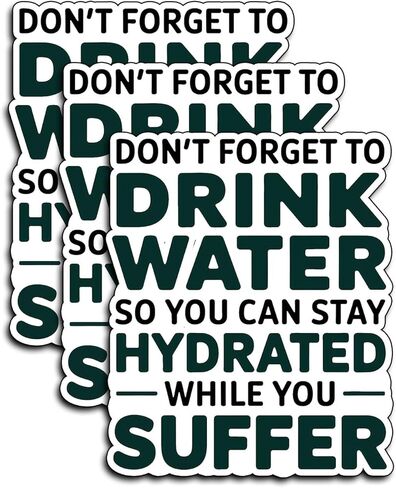 (3Pcs) Drink Water Hydration Quote Stickers Funny Sarcastic Humor Motivational Inspirational Gifts Waterproof Vinyl Decals for Kindle Water Bottle Bumper Car Hard Hat Phone Laptop 3x2.5 in Saudi Arabia