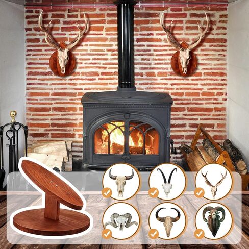 Taiyin 1 Set Deer Head Mount Kit Solid Pine Skull Display Europeanermy Mount Skull Handting Hunting Plaque for Bear Boar Wall Table Display in Saudi Arabia