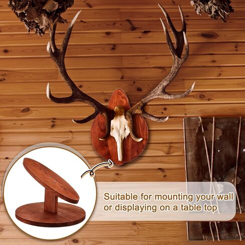Taiyin 1 Set Deer Head Mount Kit Solid Pine Skull Display Europeanermy Mount Skull Handting Hunting Plaque for Bear Boar Wall Table Display in Saudi Arabia