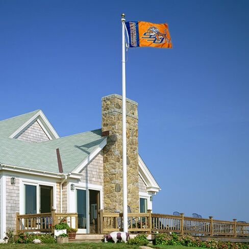 Savannah State Tigers SSU University Large College Flag in Saudi Arabia