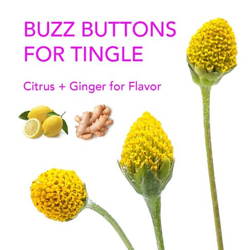 Buzz Button Flower Tingling Rimmer Dust للكوكتيلات والزينة، 18 جرام، أزرق (72 وجبة) in Saudi Arabia