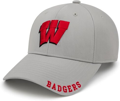Officially Licensed University Wisconsin Classic Edition Gray/Red Clean Up Hat Primary Badgers Relaxed Fit Embroidered Team Logo Adjustable Sports Ball Cap in Saudi Arabia