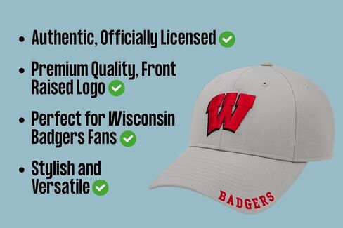 Officially Licensed University Wisconsin Classic Edition Gray/Red Clean Up Hat Primary Badgers Relaxed Fit Embroidered Team Logo Adjustable Sports Ball Cap in Saudi Arabia