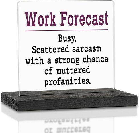Funny Office Acrylic Decor Sign, But Did You Document It, HR Define Gifts, For Coworkers, Women, Men, Friends Work Humor Gifts, Desk Sign Office Decor Gift For Human Resources Colleagues VAK188 in Saudi Arabia