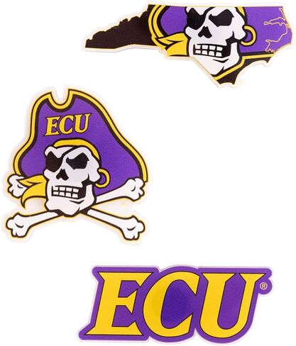 Desert Cactus East Carolina University Acrylic Magnet 3 Pack ECU Pirates Decorative Design Officially Licensed (Magnet Set A) in Saudi Arabia
