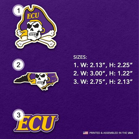 Desert Cactus East Carolina University Acrylic Magnet 3 Pack ECU Pirates Decorative Design Officially Licensed (Magnet Set A) in Saudi Arabia