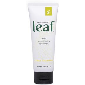 REDMOND Leaf Micro Hydroxyapatite Toothpaste Tube (Wild Mint) in Saudi Arabia