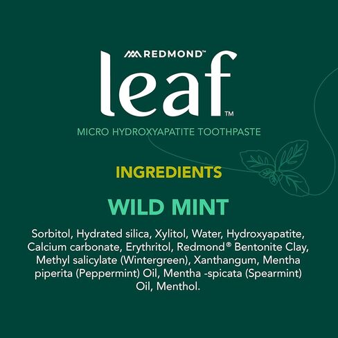 REDMOND Leaf Micro Hydroxyapatite Toothpaste Tube (Wild Mint) in Saudi Arabia