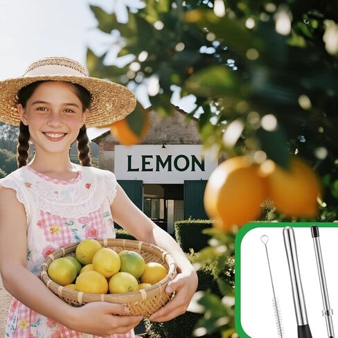 Lemon Smasher, Straw Puncher & Cleaning Brush Set, Stainless Steel Lemonade Muddler, Cocktail Muddler for Homemade Drinks, Lemonade Stands, Garage Sales, Easy Clean for Family & Home Bar Use in Saudi Arabia