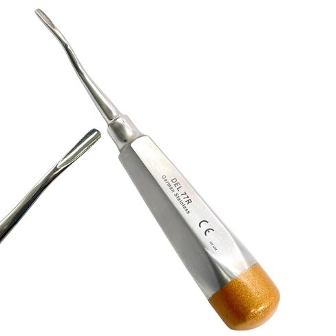 قطعة واحدة - رافعات لاستخراج جذر الأسنان، طرف مسنن ذو إزاحة طفيفة، مقبض مجوف ذو نهاية ذهبية - أدوات طب الأسنان المريحة والآمنة للأوتوكلاف (رقم 77R) in Kuwait