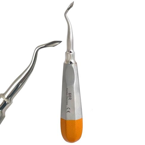 #60R اختيار مصعد برنارد، طرف على شكل رمح بزاوية، مقبض مجوف ذهبي اللون، أدوات خلع الأسنان الألمانية المصنوعة من الفولاذ المقاوم للصدأ in Kuwait