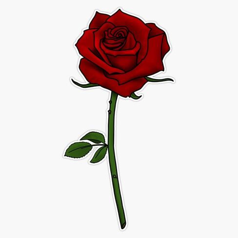 A Single Rose Bumper Sticker Vinyl Decal 5" in Saudi Arabia