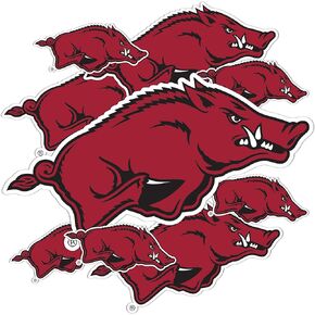 Desert Cactus University of Arkansas Razorbacks U of A Hogs Stickers Vinyl Decals Laptop Water Bottle Car Scrapbook T3 (Type 3-1)