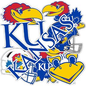 Desert Cactus University of Kansas Sticker Jayhawks KU Stickers Vinyl Decals Laptop Water Bottle Car T2 (Type 2-2)