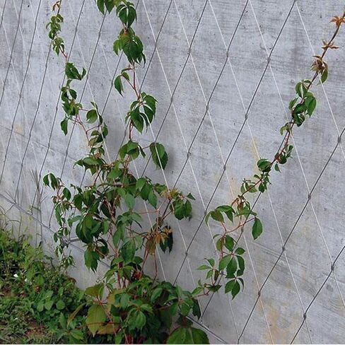 طقم حبل سلكي مطلي بالفينيل بطول 328 قدمًا، وقطر 1/16 بوصة، وكابل سلك من الفولاذ المقاوم للصدأ 304، حبلا 7 × 7 مع 50 قطعة من حلقة تجعيد الألومنيوم و10 قطع مشبك in Kuwait