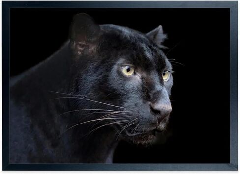 إطارات الملصقات مقاس 17 × 22 بوصة إطار صورة من الخشب الصلب باللون الأسود للملصق وإطارات الصور مقاس 17 × 22، بما في ذلك أدوات التعليق (F22B1722) in Kuwait