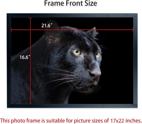 إطارات الملصقات مقاس 17 × 22 بوصة إطار صورة من الخشب الصلب باللون الأسود للملصق وإطارات الصور مقاس 17 × 22، بما في ذلك أدوات التعليق (F22B1722) in Kuwait