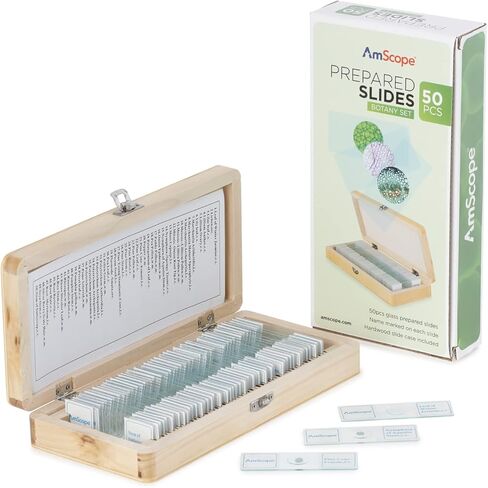 AmScope - 50 قطعة من عينات شرائح المجهر الزجاجي المجهزة لعلم النبات مع علبة خشبية - PS50W-BTN in Saudi Arabia