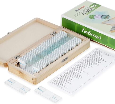 AmScope - 50 قطعة من عينات شرائح المجهر الزجاجي المجهزة لعلم النبات مع علبة خشبية - PS50W-BTN in Saudi Arabia