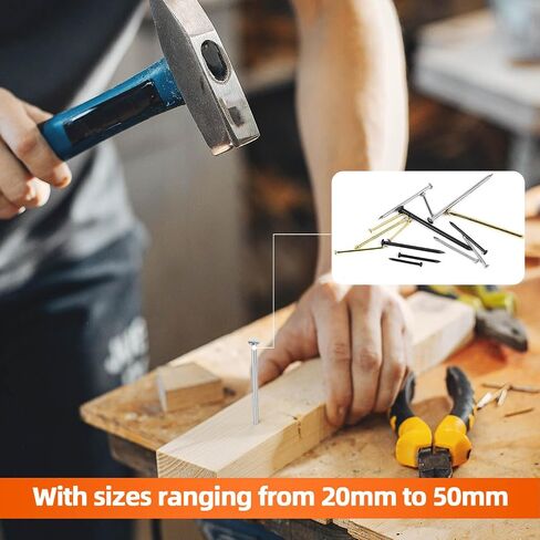 5 Sizes Black Hardware Nails Assortment Kit, Picture Hanging Nails, Finishing Nails, Wood Nails, Wall Nails for Hanging, Small Nails, 400 PCS in Saudi Arabia