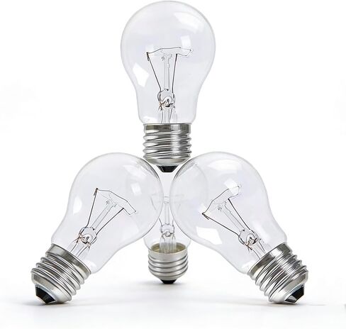 100 Watt Incandescent Light Bulbs, A19 Clear Incandescent Rough Service Light Bulb,A19 100 WATT Bulbs,2700K Soft White, E26 Medium Base, 110-130V, 4-Pack in Saudi Arabia