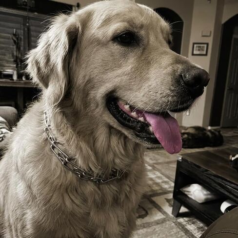 8 قطع وصلات إضافية مقاس 2.25 مم مصممة لأطواق التدريب، مصنوعة من الفولاذ المقاوم للصدأ المطلي بالكروم والفضة in Kuwait