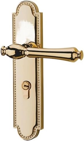 Golden Door Lock Indoor Bedroom Door Lock Bird Split Magnetic Silent Door Lock Home Lock Wooden Door Handle(A Bright Gold silentwith Key) in Saudi Arabia