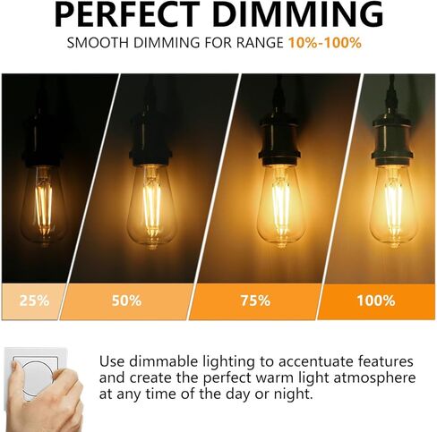 BORT 4Pack ST58/ST19 لمبات LED Edison عتيقة، أبيض دافئ 2700K، 6W يعادل 60W لمبات إضاءة LED، قابلة للتعتيم 700LM، E26 لمبة إضاءة زخرفية in Kuwait