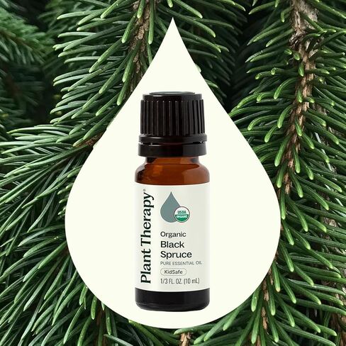 Plant Therapy Organic Black Spruce 10 mL (1/3 oz) Essential Oil 100% Pure, Undiluted, USDA Certified Organic, Aromatherapy, Fresh Scent, Respiratory Support in Saudi Arabia
