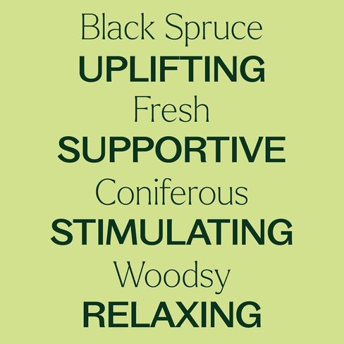 Plant Therapy Organic Black Spruce 10 mL (1/3 oz) Essential Oil 100% Pure, Undiluted, USDA Certified Organic, Aromatherapy, Fresh Scent, Respiratory Support in Saudi Arabia
