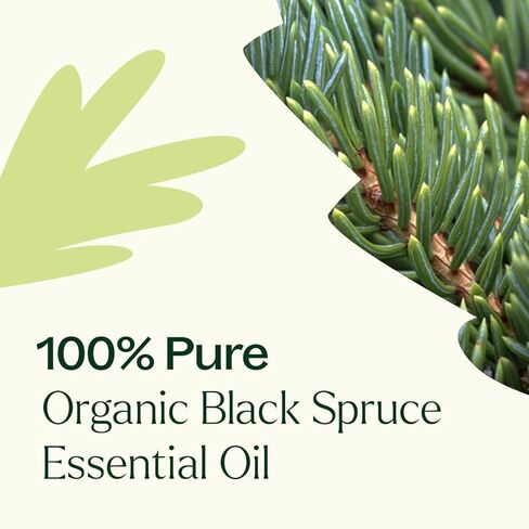 Plant Therapy Organic Black Spruce 10 mL (1/3 oz) Essential Oil 100% Pure, Undiluted, USDA Certified Organic, Aromatherapy, Fresh Scent, Respiratory Support in Saudi Arabia