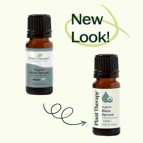 Plant Therapy Organic Black Spruce 10 mL (1/3 oz) Essential Oil 100% Pure, Undiluted, USDA Certified Organic, Aromatherapy, Fresh Scent, Respiratory Support in Saudi Arabia
