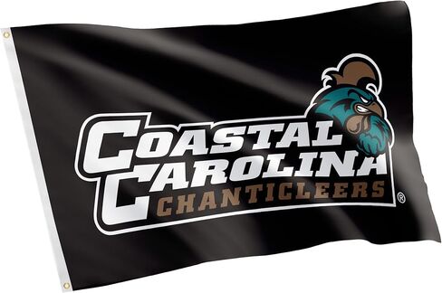 علم CCU لجامعة Desert Cactus Coastal Carolina - لافتة Chanticleers مقاس 3 × 5 أقدام، قماش متين للاستخدام الداخلي/الخارجي، تصميم بوليستر 100% (النمط 4) in Saudi Arabia