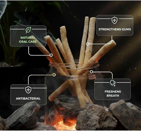 Sticks - Pack of 10 Natural Toothbrush Sticks with Wooden Holder | Sewak Sticks for Teeth | Authentic Peelu Wood (Salvadora Persica) | Teeth Whitening & Gum Strengthening in Saudi Arabia