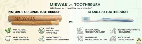 Sticks - Pack of 10 Natural Toothbrush Sticks with Wooden Holder | Sewak Sticks for Teeth | Authentic Peelu Wood (Salvadora Persica) | Teeth Whitening & Gum Strengthening in Saudi Arabia
