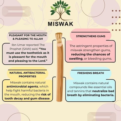 Sticks - Pack of 10 Natural Toothbrush Sticks with Wooden Holder | Sewak Sticks for Teeth | Authentic Peelu Wood (Salvadora Persica) | Teeth Whitening & Gum Strengthening in Saudi Arabia