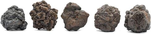 Starborn Prophecy Stone Lot of 5 Pieces in Saudi Arabia