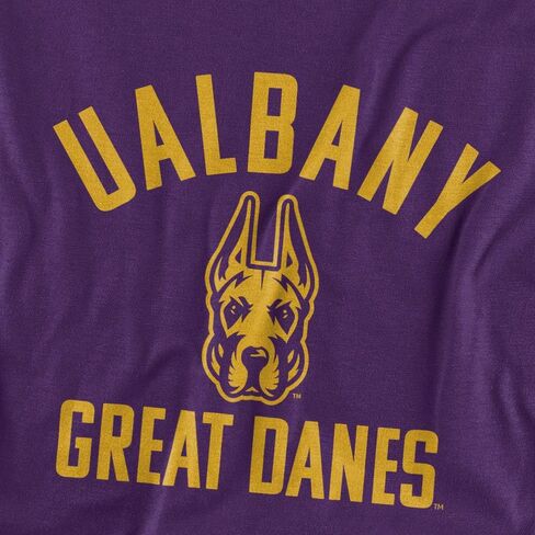 University at Albany Official One Color UAlbany Logo Unisex Adult T-Shirt, Purple, Large in Saudi Arabia