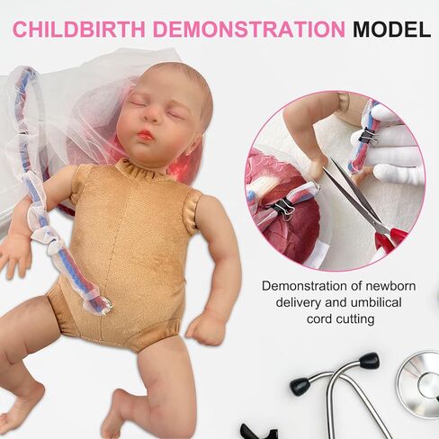 qzzXoq ‌Professional Female Childbirth Model for Midwifery Training - Detachable Baby & Pelvis, with Umbilical Cord, Amnion, and Placenta - Gynecology Teaching Aid in Saudi Arabia
