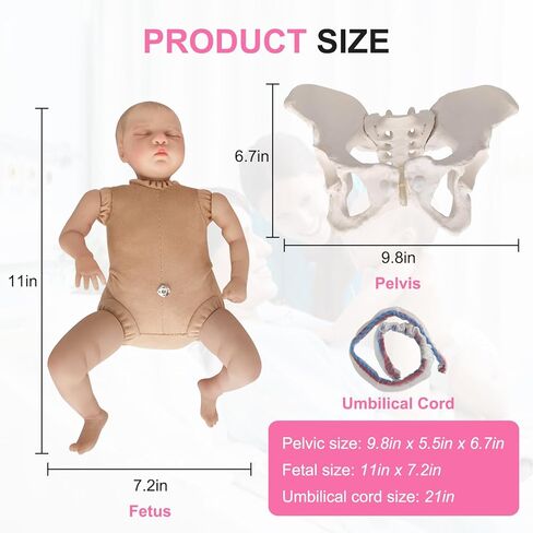 qzzXoq ‌Professional Female Childbirth Model for Midwifery Training - Detachable Baby & Pelvis, with Umbilical Cord, Amnion, and Placenta - Gynecology Teaching Aid in Saudi Arabia
