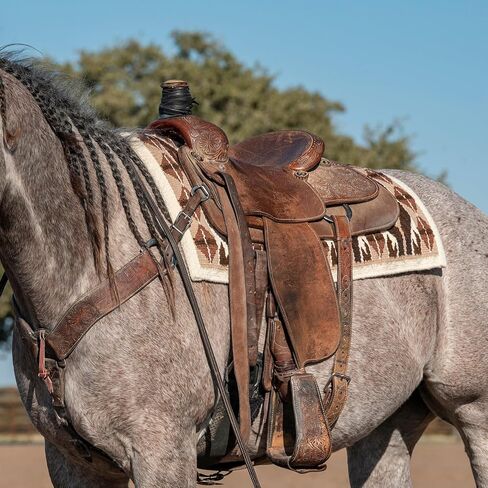 Classic Equine Show Blanket, Cream-Latte, 34 x 38 in Saudi Arabia