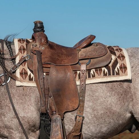 Classic Equine Show Blanket, Cream-Latte, 34 x 38 in Saudi Arabia