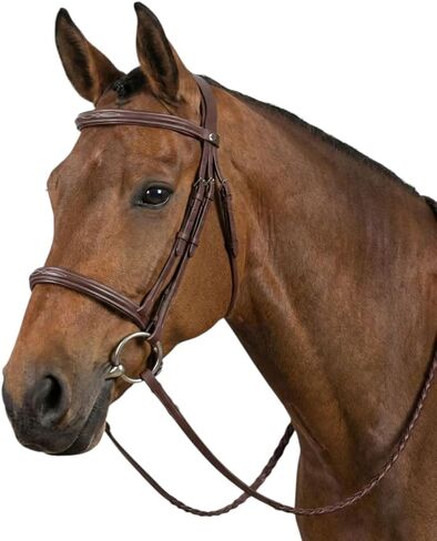 Henri de Rivel Advantage Fancy Raised Snaffle Bridle مع مقاليد ذات أربطة in Kuwait