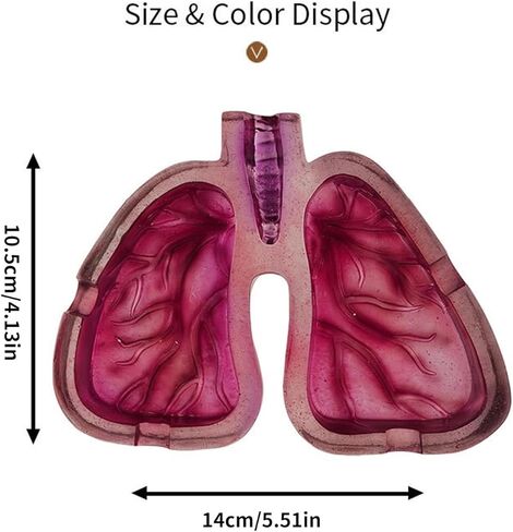 منفضة سجائر إبداعية على شكل الرئة البشرية مصنوعة من الراتنج، ملمس ناعم يحمل السجائر والرماد لعشاق الفن in Kuwait
