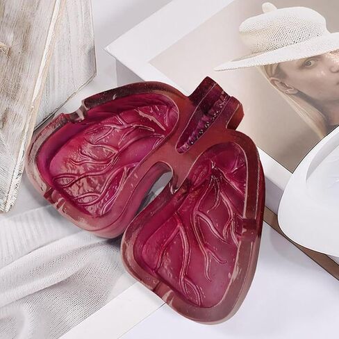 منفضة سجائر إبداعية على شكل الرئة البشرية مصنوعة من الراتنج، ملمس ناعم يحمل السجائر والرماد لعشاق الفن in Kuwait