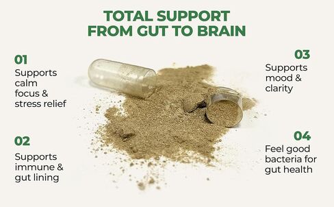 Gut-Brain Synergy Probiotic & Nootropic – 30Billion CFU Psychobiotic + Prebiotic with Ashwagandha, L-Theanine & Zinc for Gut Health, Mood Support, Stress Relief, Bloating Relief & Brain Focus & Memory in Saudi Arabia