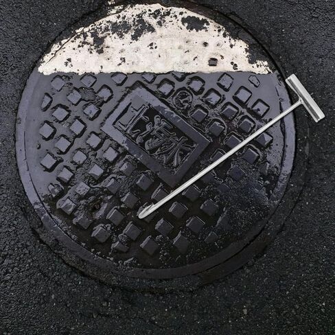 PRETYZOOM 2pcs Manhole Cover Hooks, 15.7 Inch Lifting Hooks with T-Shaped Handle, Stainless Steel Heavy Duty Lifting and Pulling Tool for Drain Covers, Septic Tank Lids in Saudi Arabia